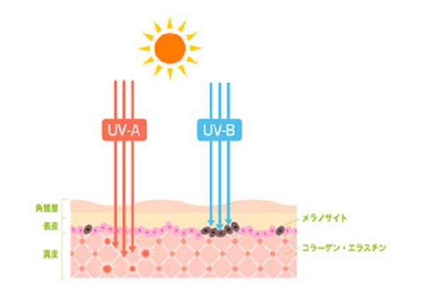 ゼオスキンの日焼け止めをご紹介！それぞれの種類や値段、おすすめ 